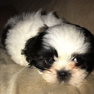 Meet your Posher, Heather